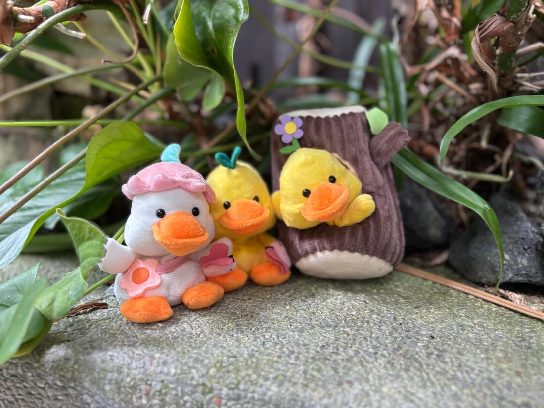 Three My Yellow Duck plush toys outdoors among green leaves — one in a pink flower hood, a small duckling with a teal sprout, and one peeking from a knit tree-stump pouch