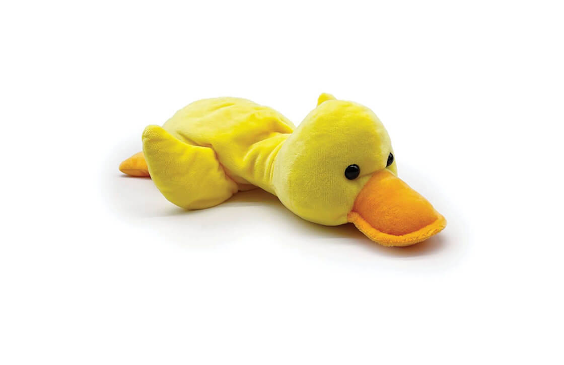 Yellow Duck Gallery 1