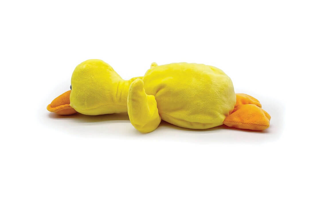 Yellow Duck Gallery 3