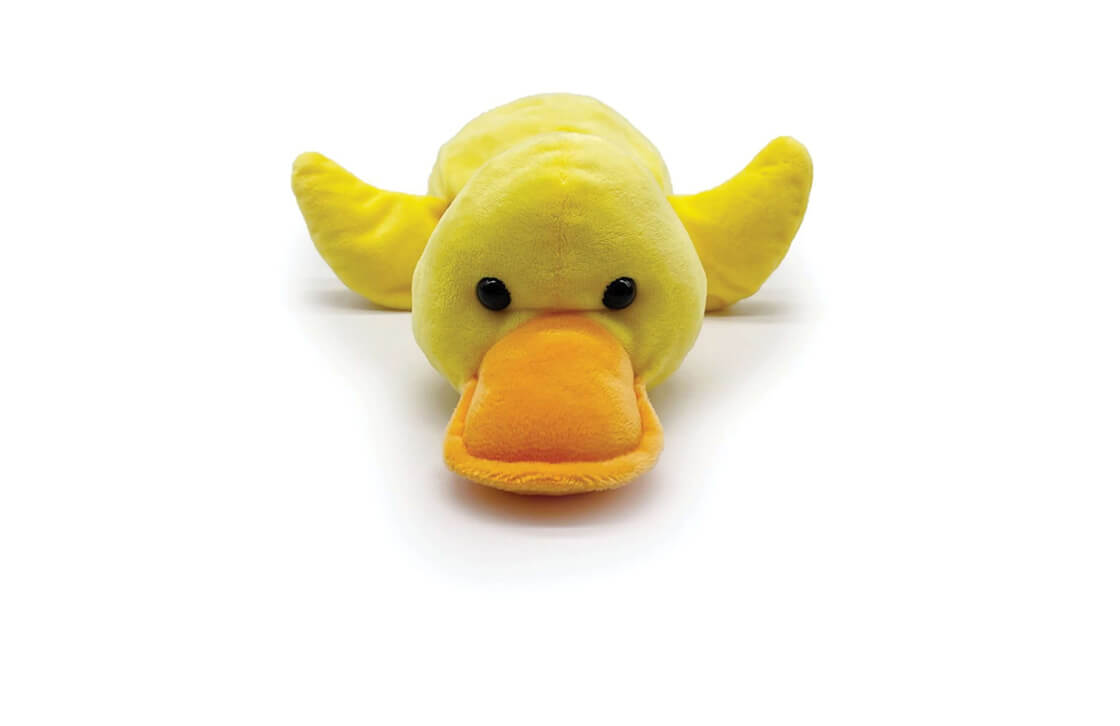 Yellow Duck Gallery 4