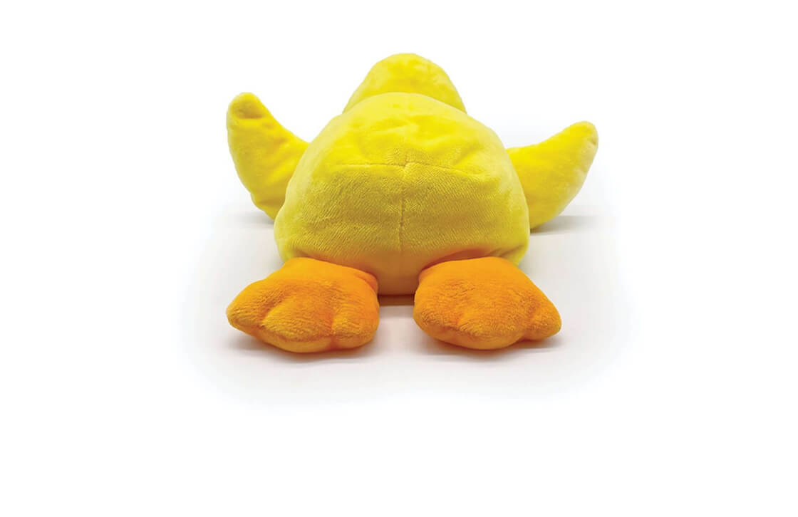 Yellow Duck Gallery 5